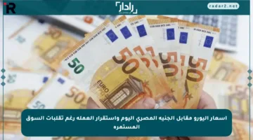 أسعار اليورو مقابل الجنيه المصري اليوم واستقرار العملة رغم تقلبات السوق المستمرة
